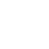 icons8-guarantee-100